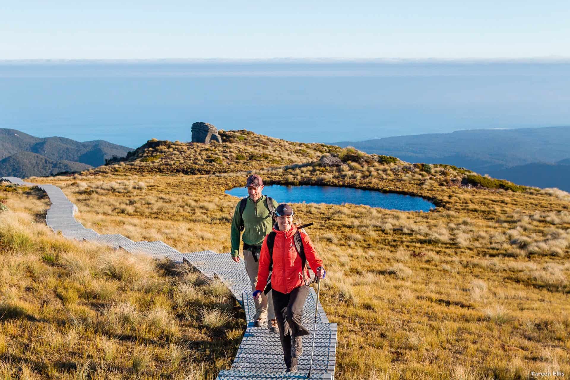 Best Time to Visit New Zealand