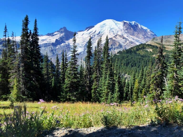 Want to Hike in National Parks in Washington State? Here’s 6 of the Best Trails