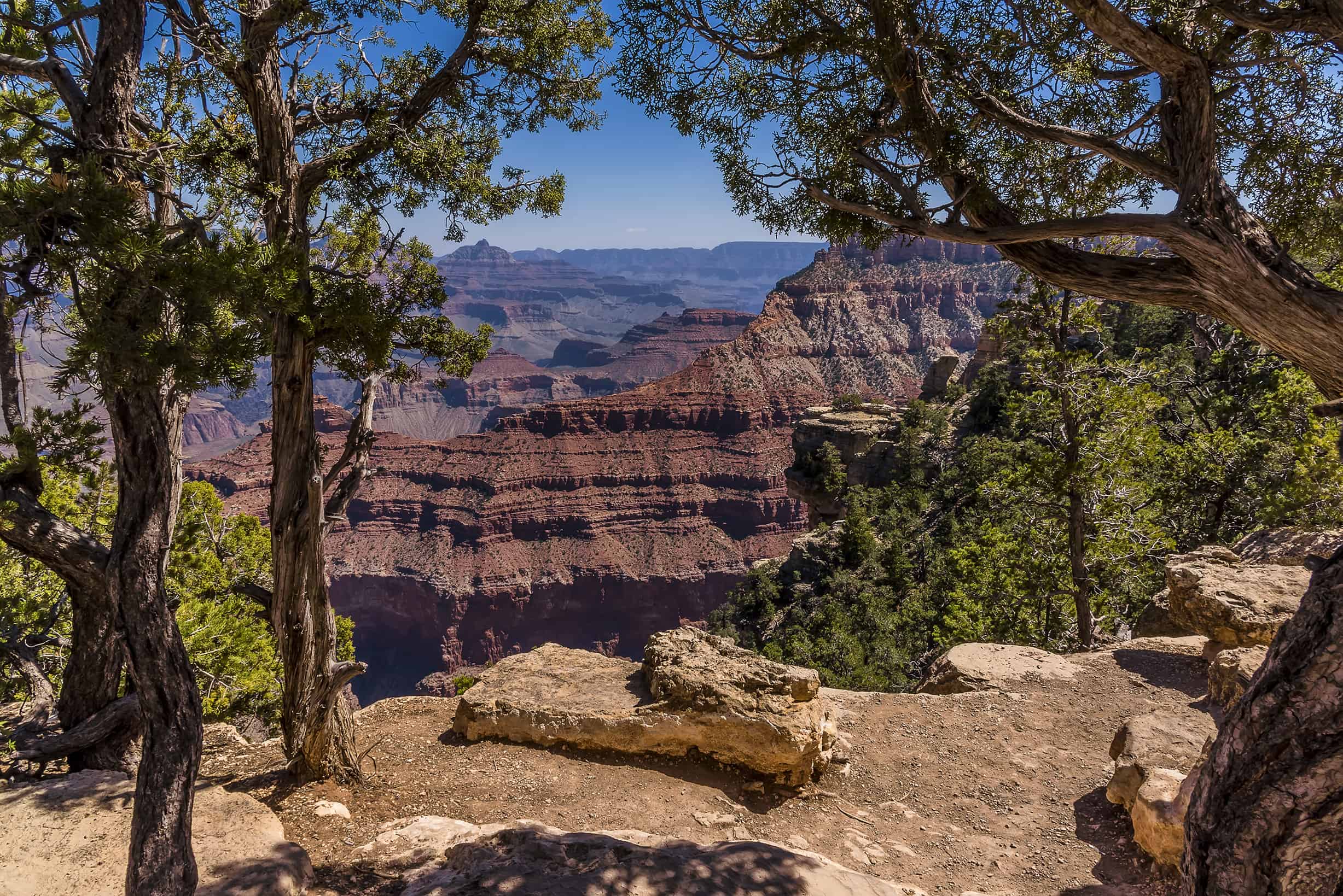 Grand Canyon South Rim Mather Point