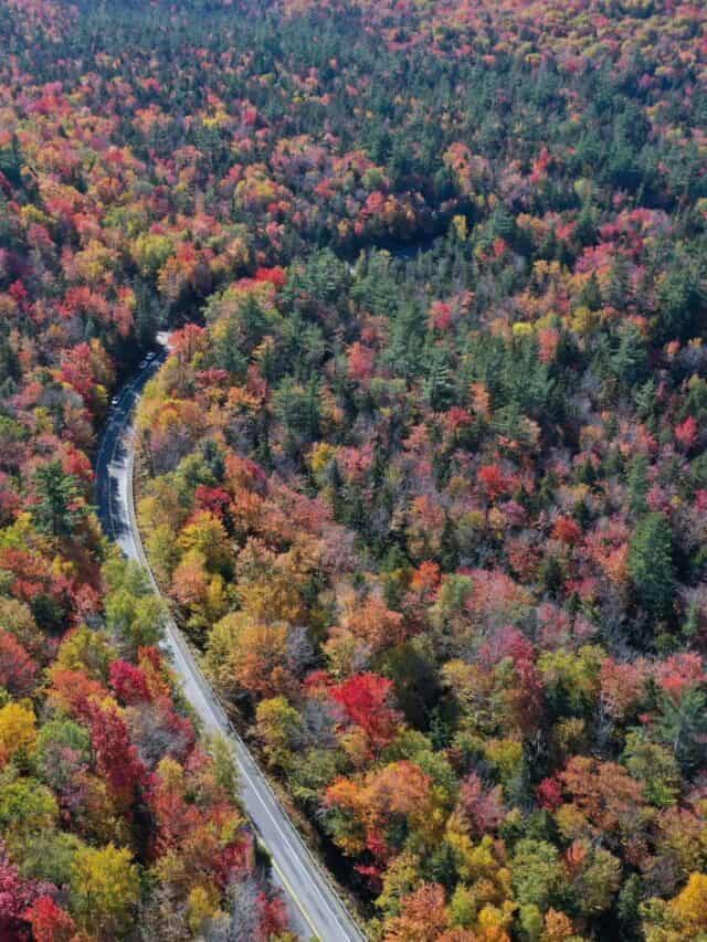 16 Scenic Drives With Vibrant Fall Foliage Across America