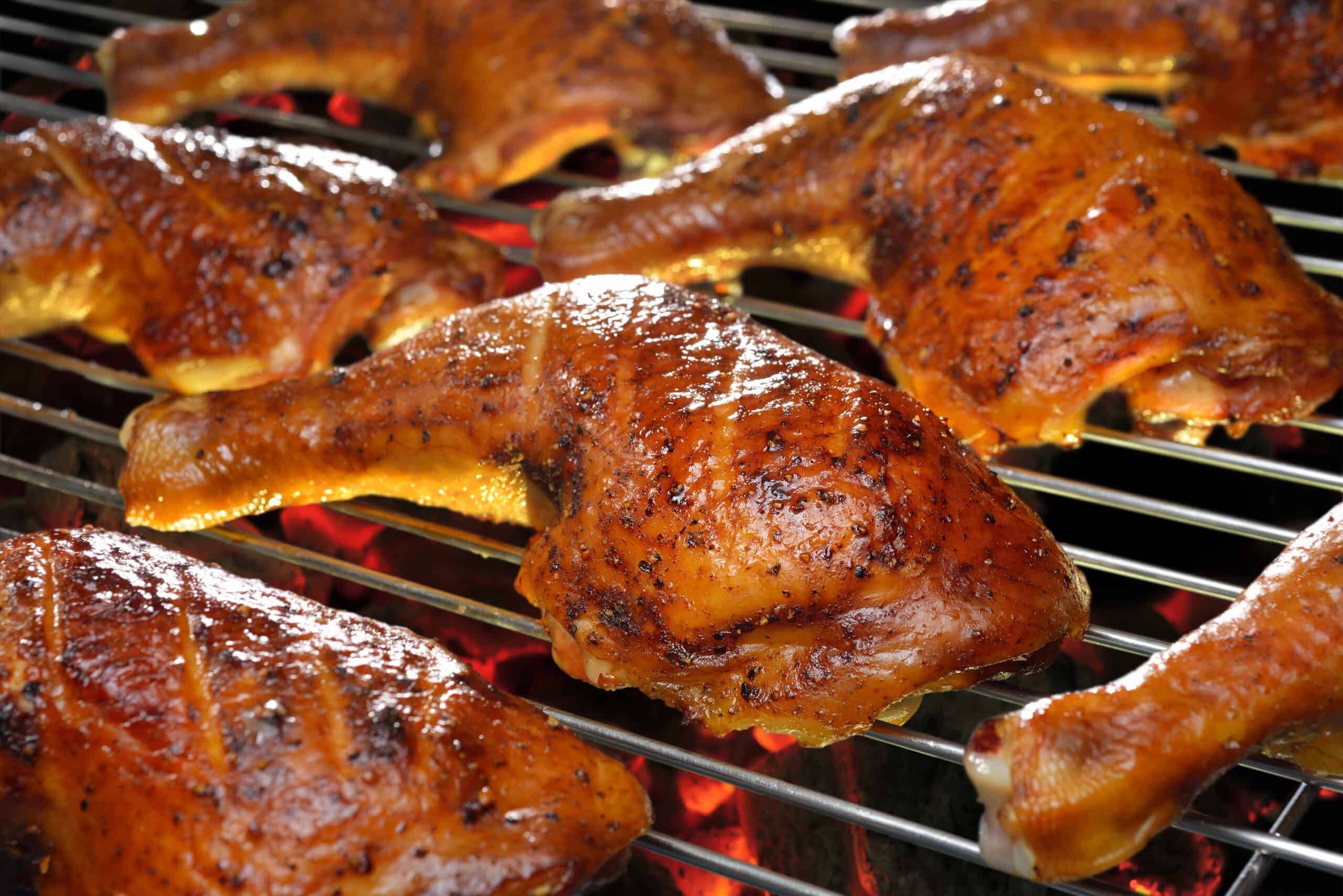 grilled chicken