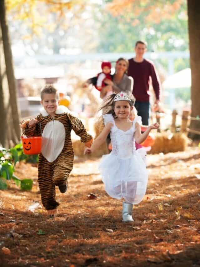 13 Fun Things to Do With Kids in Lancaster Pennsylvania Planner at Heart