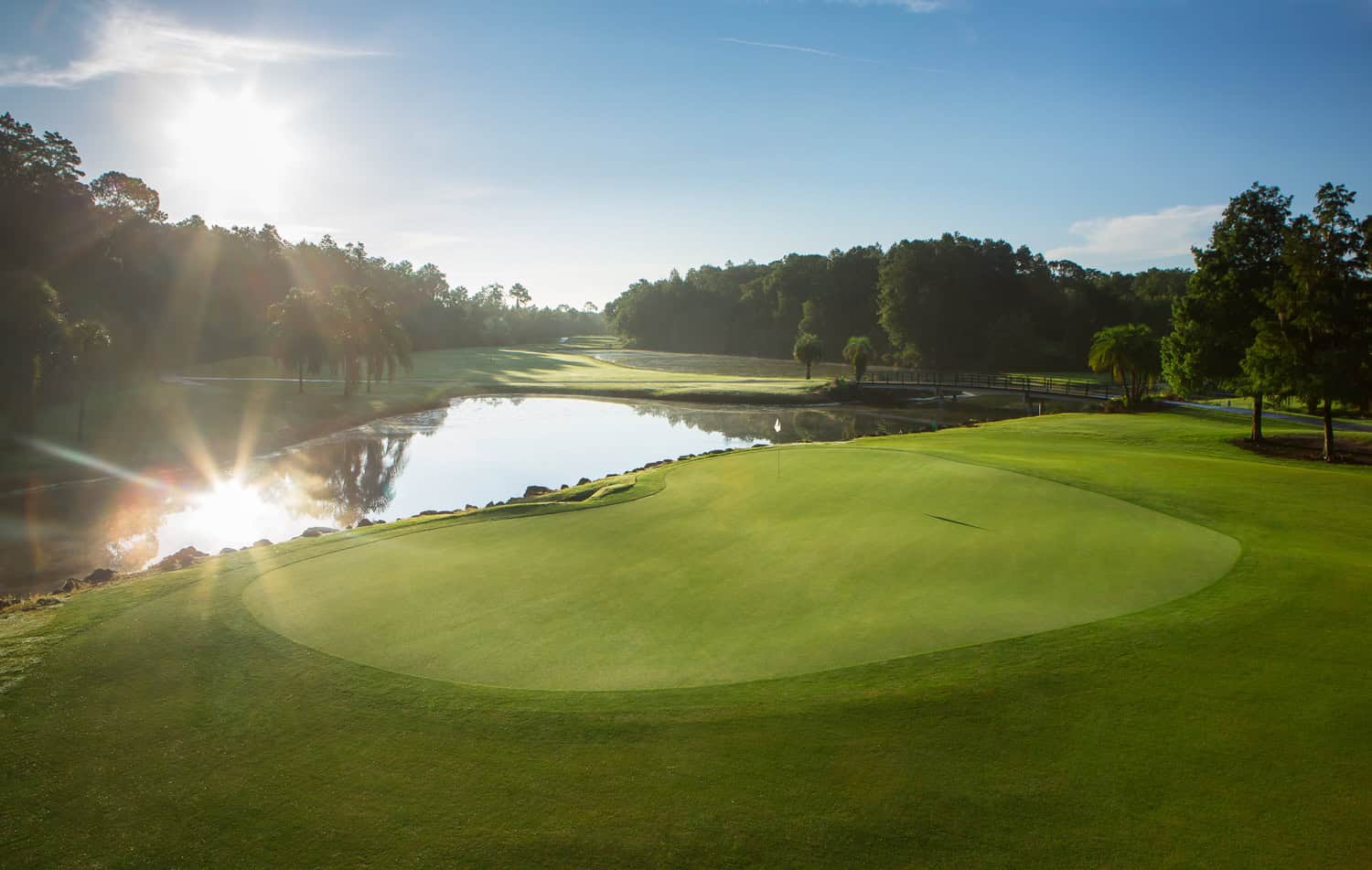 Disney's Palm 6th Hole_Credit_Nile Young (002)