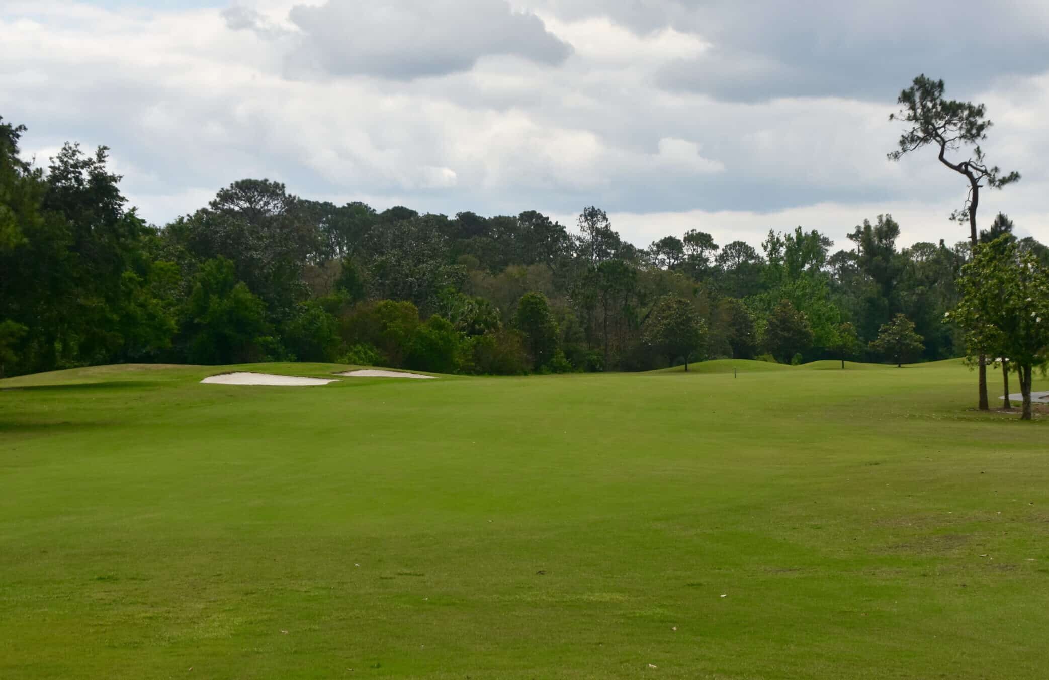 Hole #5 - Disney's Magnolia Golf Course_ (002)